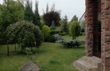visited